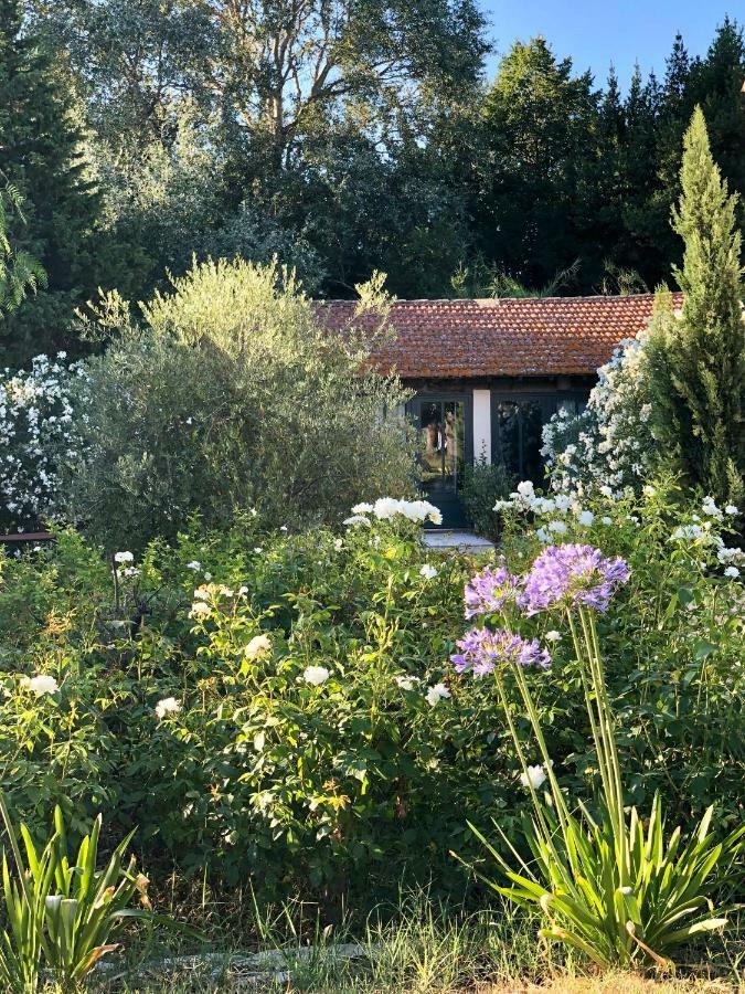 B&B Mas De Caustes Saint-Rémy-de-Provence Exterior foto