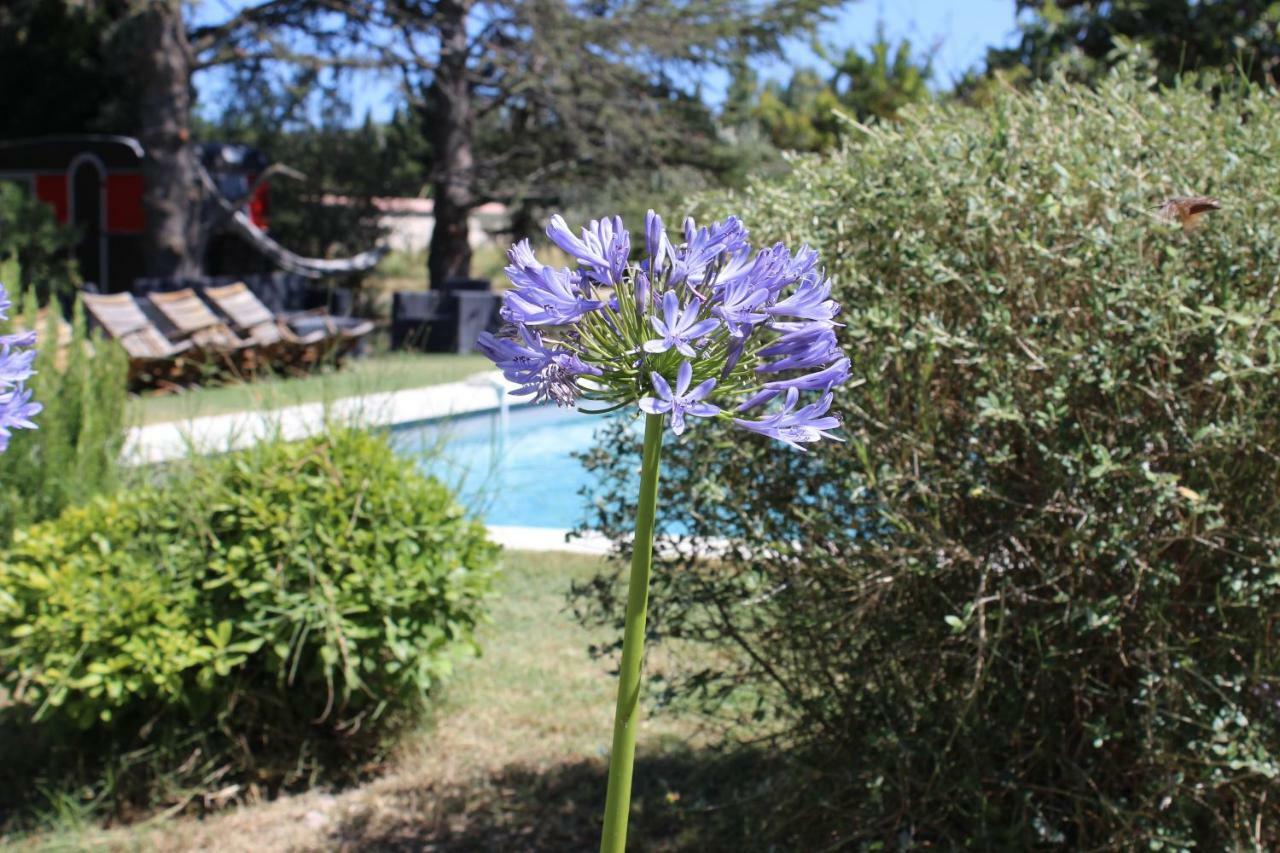 B&B Mas De Caustes Saint-Rémy-de-Provence Exterior foto