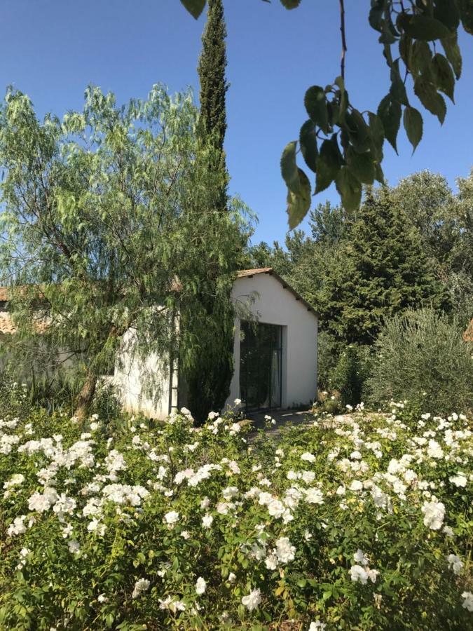 B&B Mas De Caustes Saint-Rémy-de-Provence Exterior foto