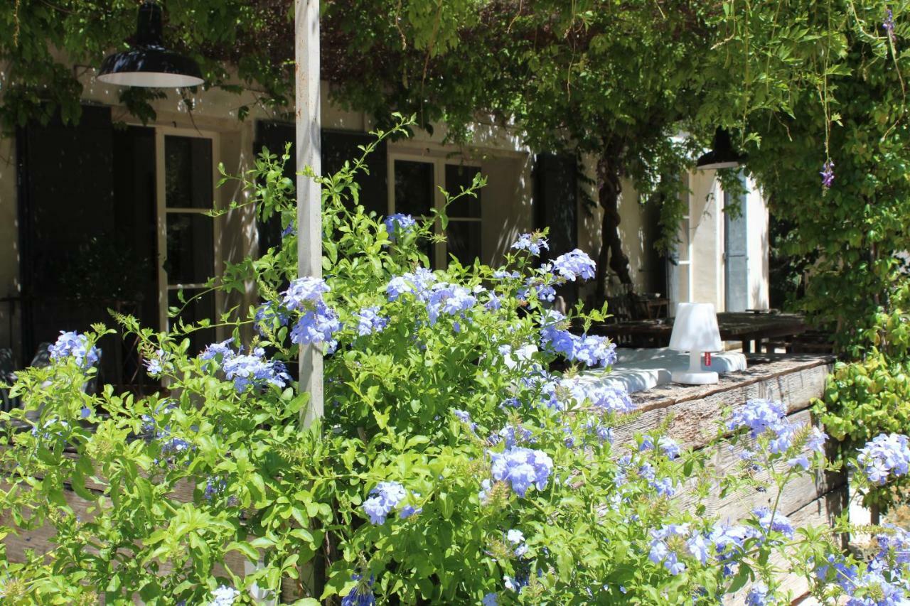 B&B Mas De Caustes Saint-Rémy-de-Provence Exterior foto